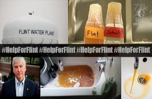 helpforflint