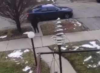 Another Porch Pirate strikes in Detroit, the Victim, a 7mile Radio On-Air Personality