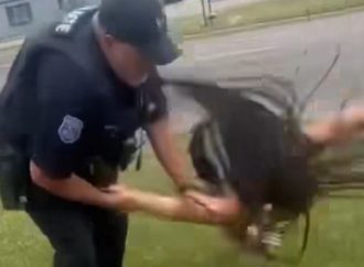 {Video} Teenager Slammed before being arrested by Warren Police